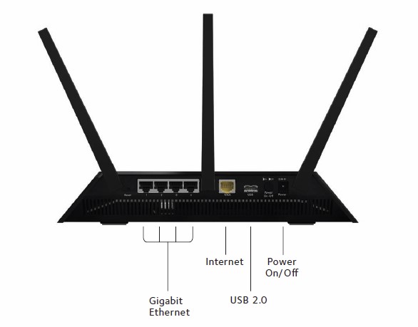Nighthawk back