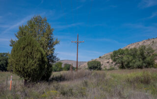 Utility Pole Replacement & Vegetation Management for Fiber Expansion