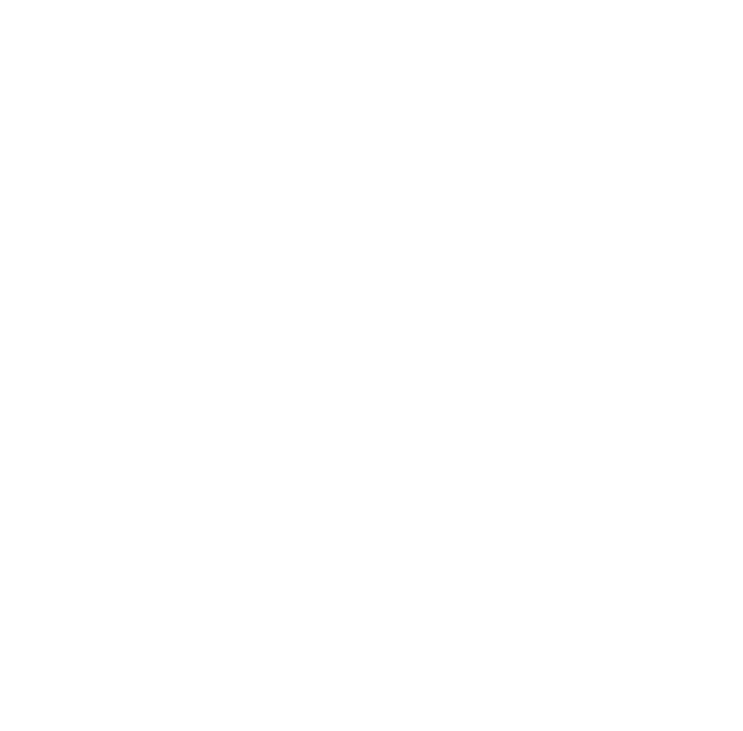 ANI20Logo20v3-solid-logo-only_edited_p-1-scaled