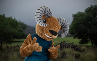 Meet Splice