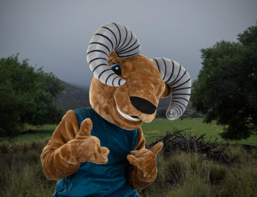 Meet Splice