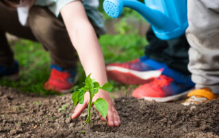 Big Ideas Start Local: Apply for the 2025 PVT FRS Community Grant