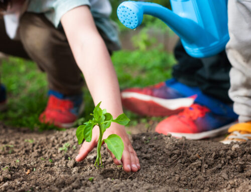 Big Ideas Start Local: Apply for the 2025 PVT FRS Community Grant