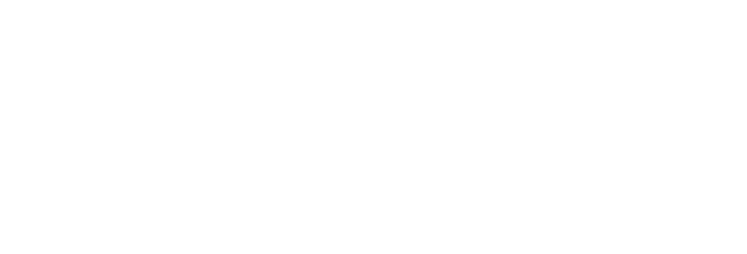 NM Fiber Network